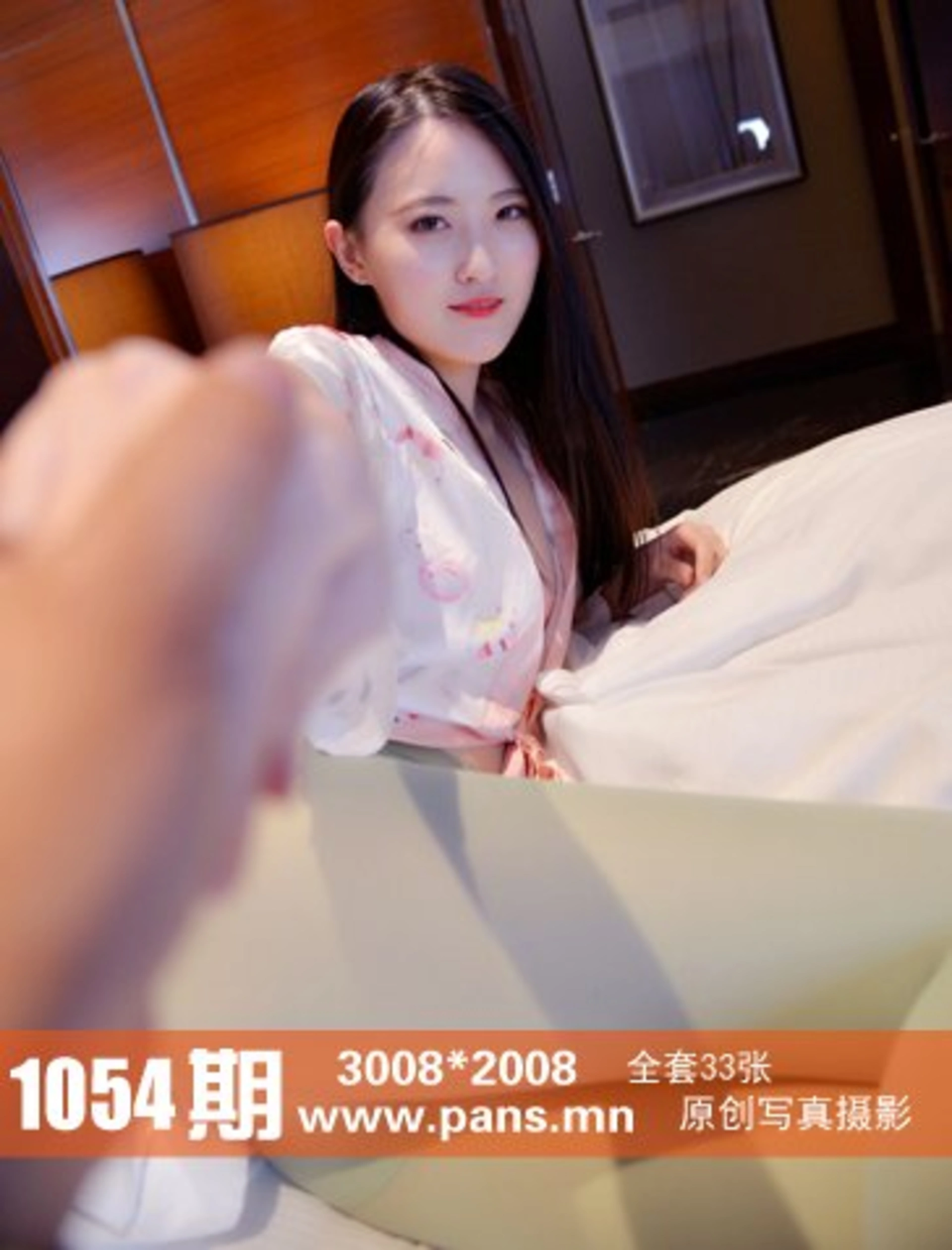 [PANS写真] 2018.11.25 NO.1054 狐狸 0